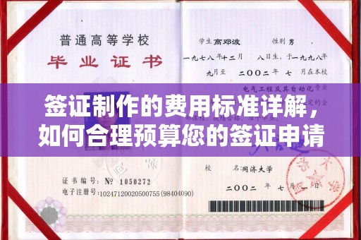 宝丰签证制作的费用标准详解，如何合理预算您的签证申请成本